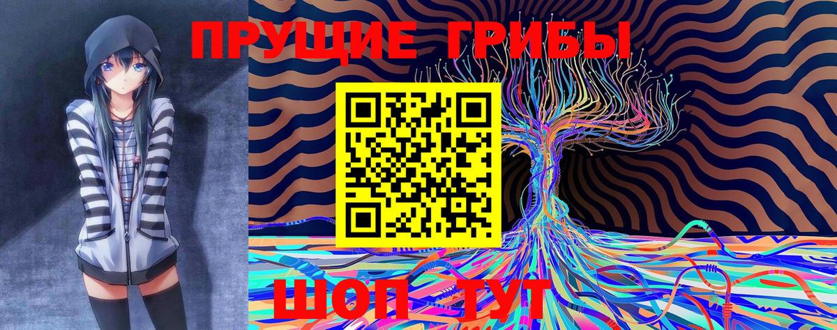 Псилоцибиновые грибы мицелий Видное